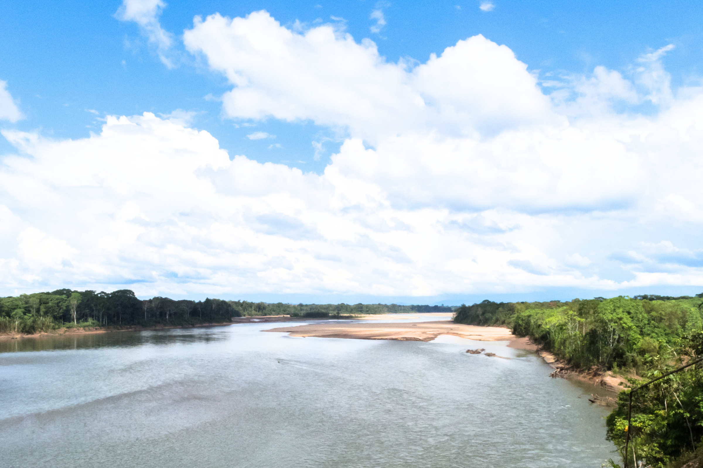 tambopata reserve (4).webp